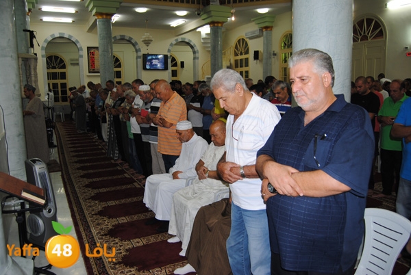 3akila jame3 803 (3).JPG